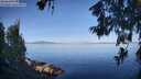 ./images/koeye/fitz-hugh/20260613/fitz-hugh20260613_075501M.jpg