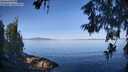 ./images/koeye/fitz-hugh/20260613/fitz-hugh20260613_081501M.jpg