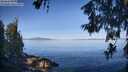 ./images/koeye/fitz-hugh/20260613/fitz-hugh20260613_082001M.jpg