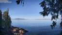 ./images/koeye/fitz-hugh/20260613/fitz-hugh20260613_082501M.jpg