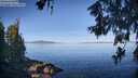 ./images/koeye/fitz-hugh/20260613/fitz-hugh20260613_083001M.jpg