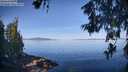 ./images/koeye/fitz-hugh/20260613/fitz-hugh20260613_084001M.jpg