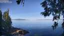 ./images/koeye/fitz-hugh/20260613/fitz-hugh20260613_084502M.jpg