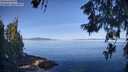 ./images/koeye/fitz-hugh/20260613/fitz-hugh20260613_085001M.jpg