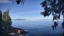 ./images/koeye/fitz-hugh/20260613/fitz-hugh20260613_085501M.jpg