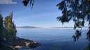 ./images/koeye/fitz-hugh/20260613/fitz-hugh20260613_090001M.jpg