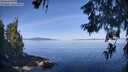 ./images/koeye/fitz-hugh/20260613/fitz-hugh20260613_090501M.jpg