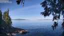 ./images/koeye/fitz-hugh/20260613/fitz-hugh20260613_091001M.jpg