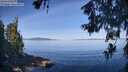 ./images/koeye/fitz-hugh/20260613/fitz-hugh20260613_091501M.jpg
