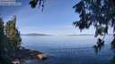 ./images/koeye/fitz-hugh/20260613/fitz-hugh20260613_092001M.jpg