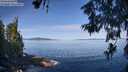 ./images/koeye/fitz-hugh/20260613/fitz-hugh20260613_093001M.jpg