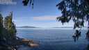 ./images/koeye/fitz-hugh/20260613/fitz-hugh20260613_093501M.jpg