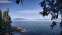 ./images/koeye/fitz-hugh/20260613/fitz-hugh20260613_094001M.jpg