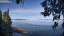 ./images/koeye/fitz-hugh/20260613/fitz-hugh20260613_094502M.jpg