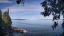./images/koeye/fitz-hugh/20260613/fitz-hugh20260613_095001M.jpg