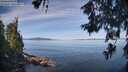 ./images/koeye/fitz-hugh/20260613/fitz-hugh20260613_095501M.jpg