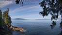 ./images/koeye/fitz-hugh/20260613/fitz-hugh20260613_100501M.jpg