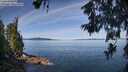 ./images/koeye/fitz-hugh/20260613/fitz-hugh20260613_101002M.jpg