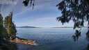 ./images/koeye/fitz-hugh/20260613/fitz-hugh20260613_102002M.jpg