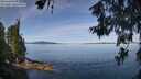 ./images/koeye/fitz-hugh/20260613/fitz-hugh20260613_102501M.jpg