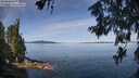 ./images/koeye/fitz-hugh/20260613/fitz-hugh20260613_103001M.jpg