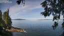 ./images/koeye/fitz-hugh/20260613/fitz-hugh20260613_104501M.jpg