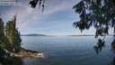 ./images/koeye/fitz-hugh/20260613/fitz-hugh20260613_105002M.jpg