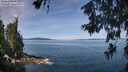 ./images/koeye/fitz-hugh/20260613/fitz-hugh20260613_110001M.jpg