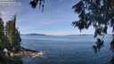./images/koeye/fitz-hugh/20260613/fitz-hugh20260613_110502M.jpg