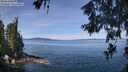 ./images/koeye/fitz-hugh/20260613/fitz-hugh20260613_111001M.jpg