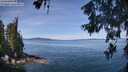 ./images/koeye/fitz-hugh/20260613/fitz-hugh20260613_111501M.jpg