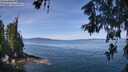 ./images/koeye/fitz-hugh/20260613/fitz-hugh20260613_112002M.jpg