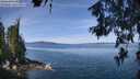 ./images/koeye/fitz-hugh/20260613/fitz-hugh20260613_112501M.jpg