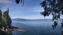 ./images/koeye/fitz-hugh/20260613/fitz-hugh20260613_113001M.jpg