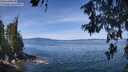./images/koeye/fitz-hugh/20260613/fitz-hugh20260613_113501M.jpg