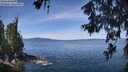 ./images/koeye/fitz-hugh/20260613/fitz-hugh20260613_114001M.jpg