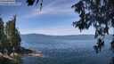 ./images/koeye/fitz-hugh/20260613/fitz-hugh20260613_114502M.jpg