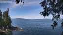 ./images/koeye/fitz-hugh/20260613/fitz-hugh20260613_115001M.jpg