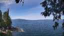 ./images/koeye/fitz-hugh/20260613/fitz-hugh20260613_115501M.jpg