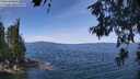 ./images/koeye/fitz-hugh/20260613/fitz-hugh20260613_120001M.jpg