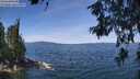 ./images/koeye/fitz-hugh/20260613/fitz-hugh20260613_120501M.jpg