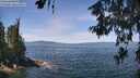 ./images/koeye/fitz-hugh/20260613/fitz-hugh20260613_122001M.jpg