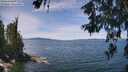 ./images/koeye/fitz-hugh/20260613/fitz-hugh20260613_124002M.jpg
