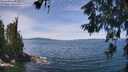 ./images/koeye/fitz-hugh/20260613/fitz-hugh20260613_124501M.jpg