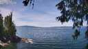 ./images/koeye/fitz-hugh/20260613/fitz-hugh20260613_125001M.jpg