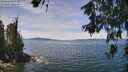 ./images/koeye/fitz-hugh/20260613/fitz-hugh20260613_130001M.jpg