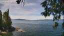 ./images/koeye/fitz-hugh/20260613/fitz-hugh20260613_130501M.jpg