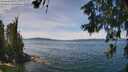 ./images/koeye/fitz-hugh/20260613/fitz-hugh20260613_131001M.jpg