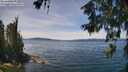 ./images/koeye/fitz-hugh/20260613/fitz-hugh20260613_131501M.jpg