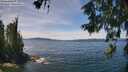 ./images/koeye/fitz-hugh/20260613/fitz-hugh20260613_132001M.jpg